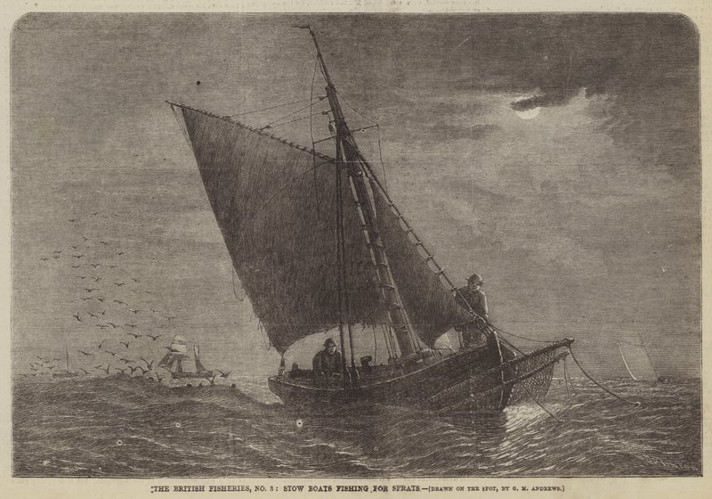 The British Fisheries, No 3, Stow Boats som fiskar skarpsill av George Henry Andrews