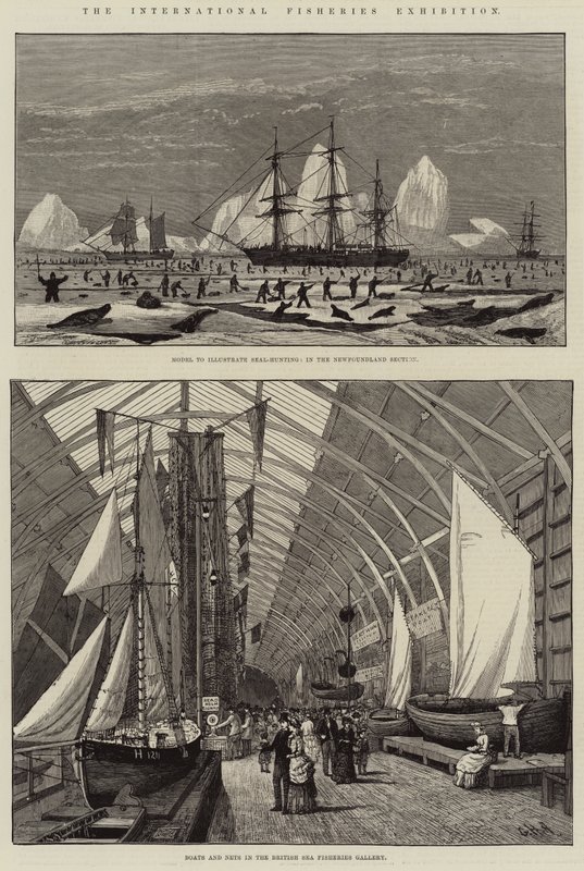 Den internationella fiskeriutställningen av George Henry Andrews