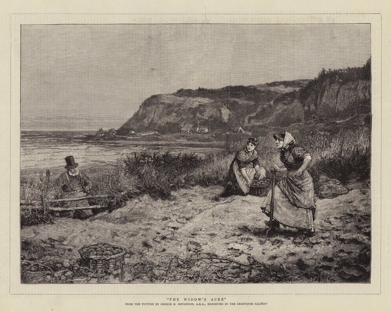 Änkans tunnland av George Henry Boughton