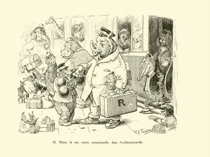 Mr Rhino gjorde en sensationell entré i Acclimatationville (lito) av George Henry Thompson