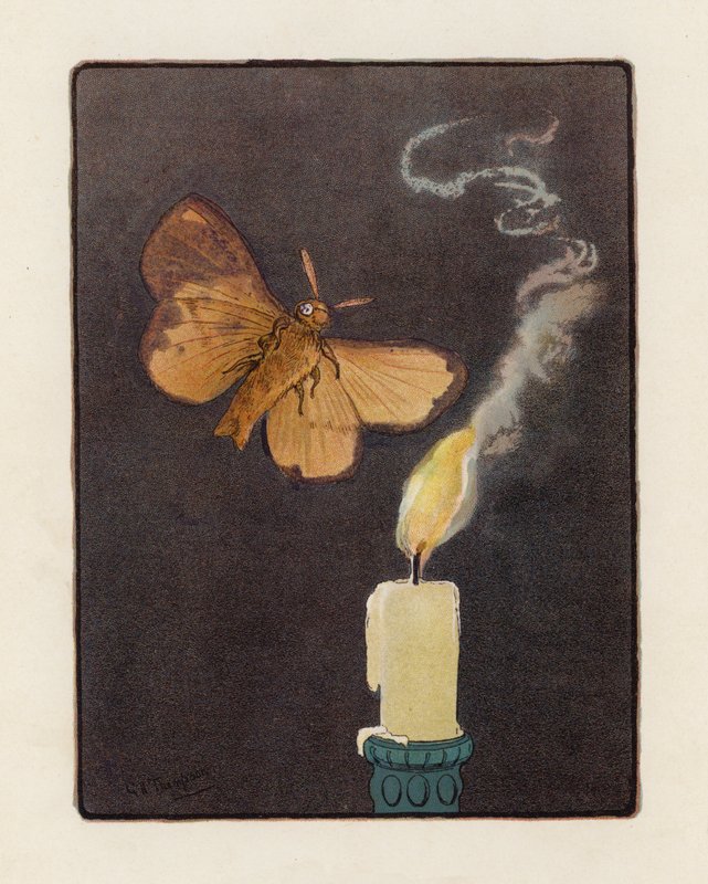 The Moth (färglitografi) av George Henry Thompson