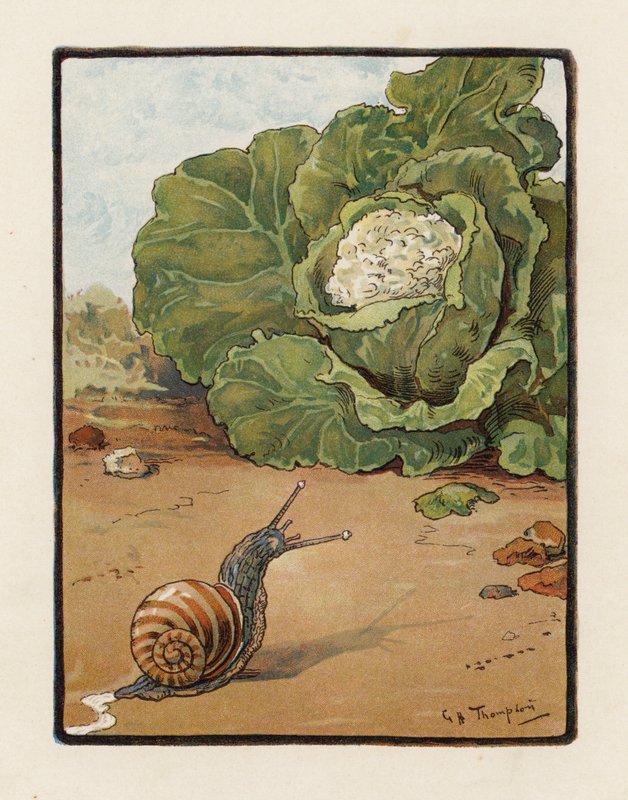 Snigeln (färglitografi) av George Henry Thompson