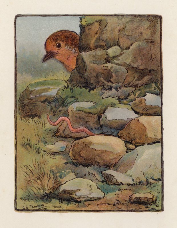 The Worm (färglitografi) av George Henry Thompson