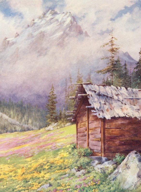 Caltha palustris och Primula farinosa på de övre fälten i Champex mot slutet av maj (färglitografi) av George Jackson Flemwell