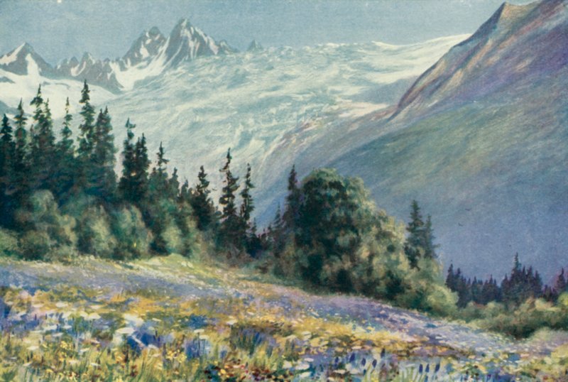 Campanula och andra juliblommor på Col Des Montets (färg litho) av George Jackson Flemwell