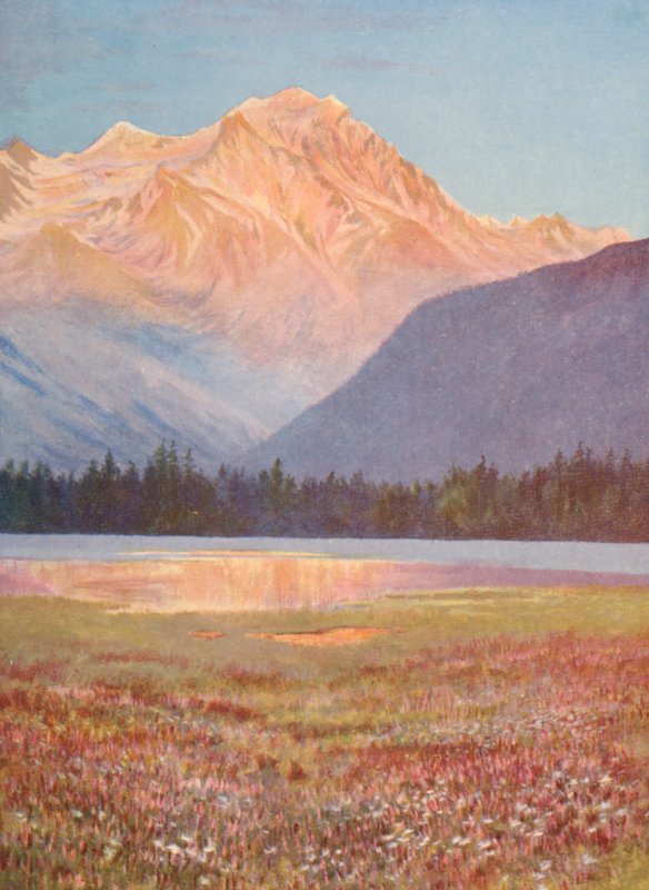 Kväll bland fält av rosa bistort vid Lac Champex; solnedgångsglöd på Grand Combin, juli (färglitografi) av George Jackson Flemwell