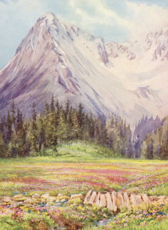 Gentiana verna och Primula farinosa på de lägre fälten i Champex mot slutet av maj, med en del av Saleinaz-massivet i bakgrunden (färglitografi) av George Jackson Flemwell