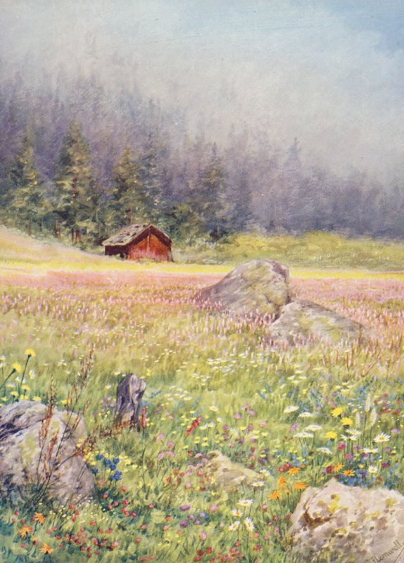 På fälten i Champex i början av juli (färglitografi) av George Jackson Flemwell