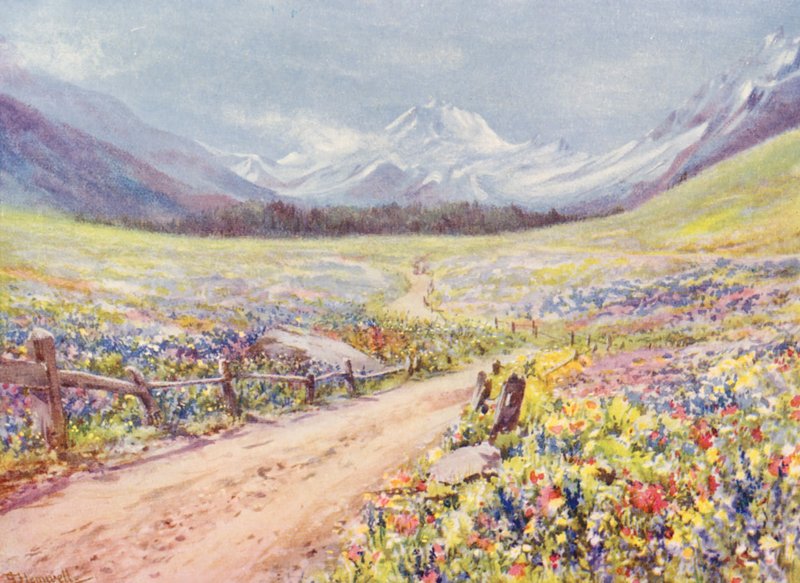 Juni-ängar med Salvia, Lychnis, etc, i Val Ferret, strax innan man kommer till byn Praz de Fort (färglitografi) av George Jackson Flemwell