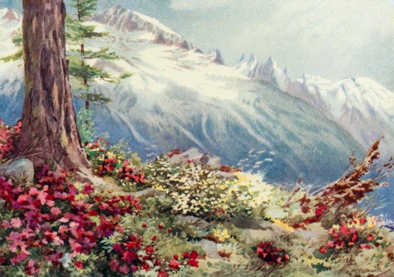 Mont Blanc och Aiguille Du Midi, sett från ovan Argentiere (färg litho) av George Jackson Flemwell