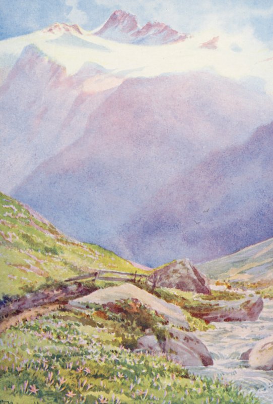 Höstkrokus på fälten nära byn Trient, med Aiguille du Tour i bakgrunden, september (färglitografi) av George Jackson Flemwell