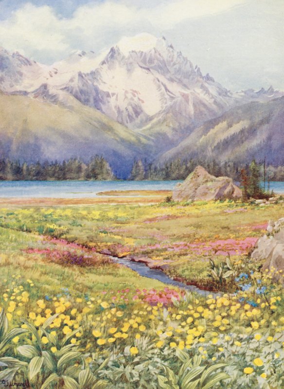 De övre fälten i Champex i början av juni, med Grand Combin i fjärran (färglitografi) av George Jackson Flemwell