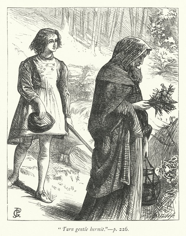 Illustration för Eremiten (gravyr) av George John Pinwell
