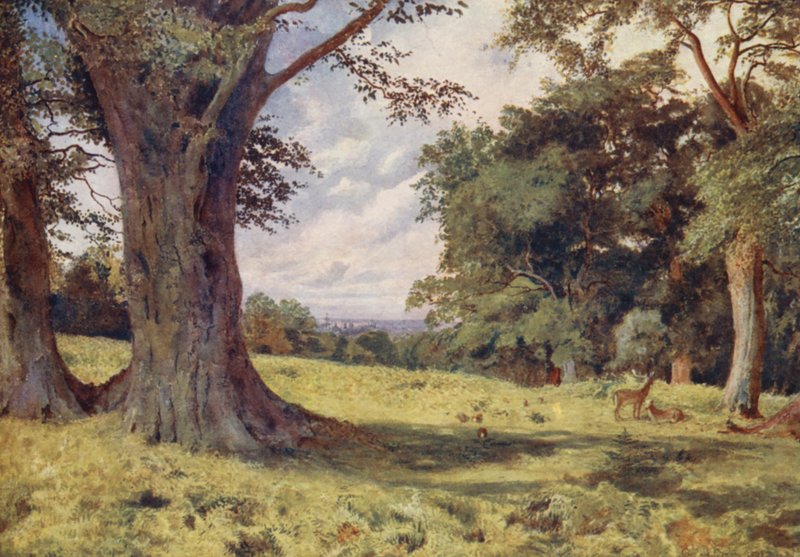 En glänta i Windsor Great Park (färglitografi) av George Moore Henton