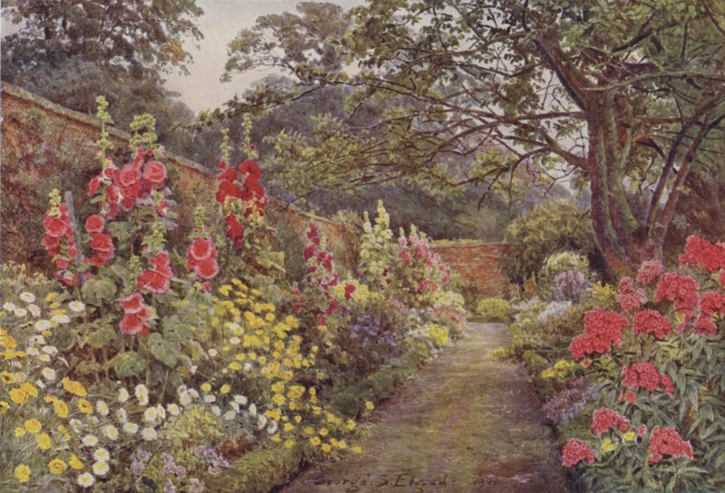 Blyborough, stockrosor av George Samuel Elgood