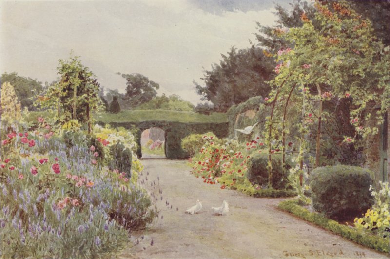 China Roses and Lavender, Palmerstown av George Samuel Elgood