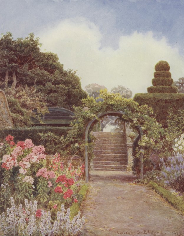 Crathes, Phlox av George Samuel Elgood