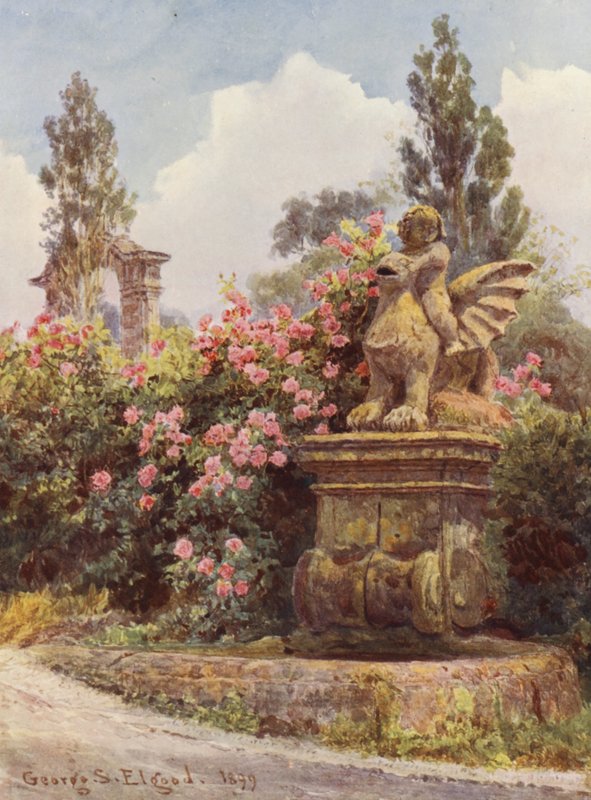 Italienska trädgårdar: Kina-rosor, Villa Imperiali (färglitografi) av George Samuel Elgood