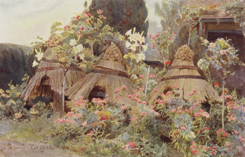 Lady Coventrys handarbete av George Samuel Elgood