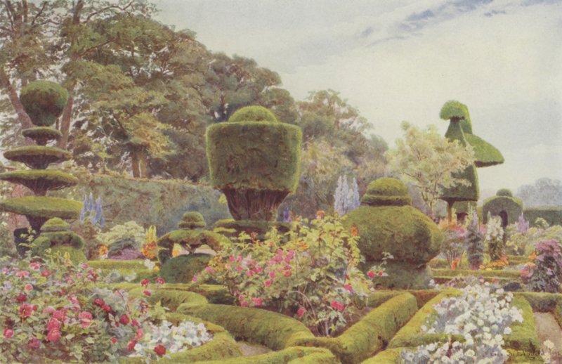 Levens, rosor och rosa av George Samuel Elgood