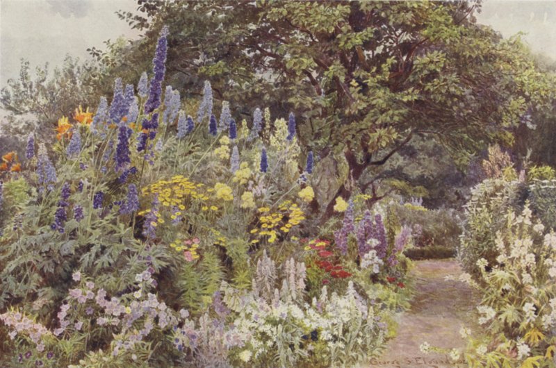 Ramscliffe, Larkspur av George Samuel Elgood