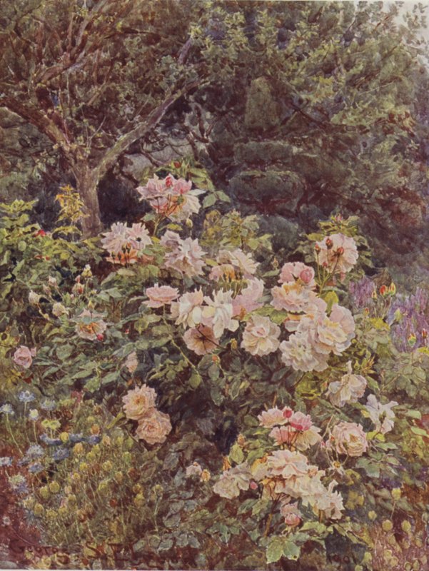 Viscountess Folkestone av George Samuel Elgood