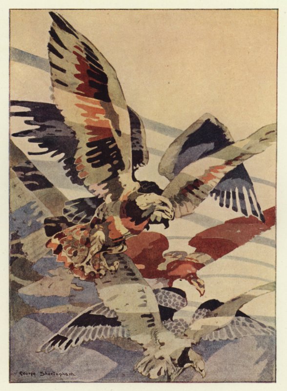 Den stora örnen skapade vindarna åt honom (färg litho) av George Sheringham