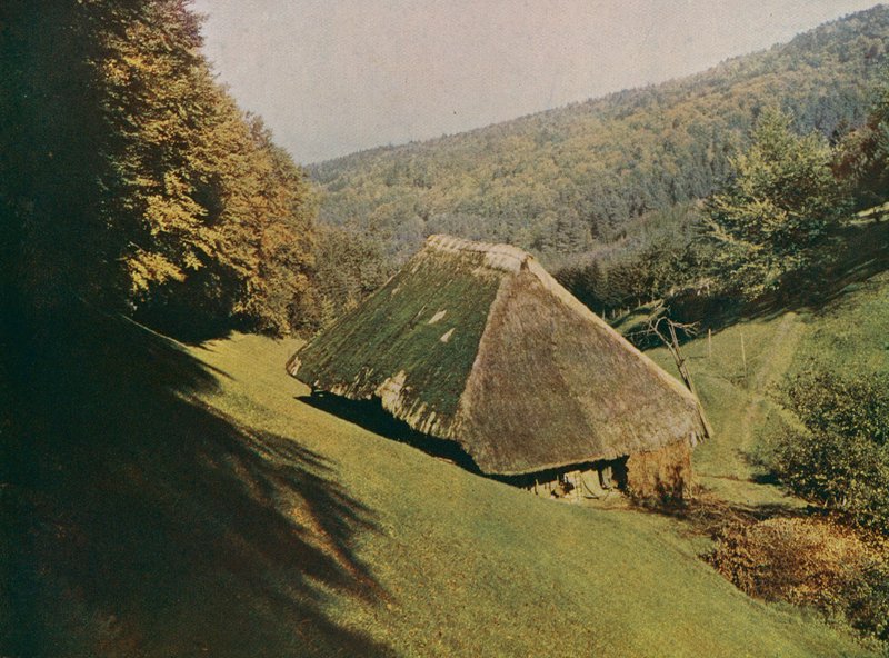 Traditionell Schwarzwald-gård, Wildtal, Tyskland (färgfoto) av German Photographer
