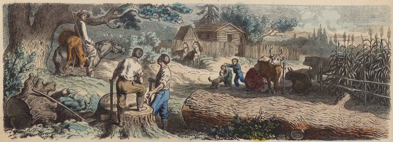 En ny bosättning i amerikanska västern (färgad gravyr) av German School