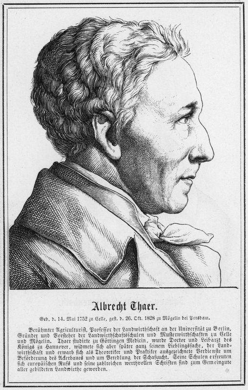 Albrecht Thaer (gravyr) av German School