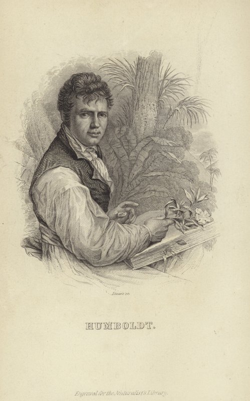 Alexander von Humboldt av German School