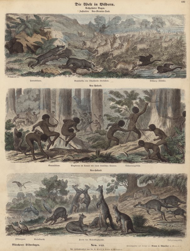 Australien (färgad gravyr) av German School