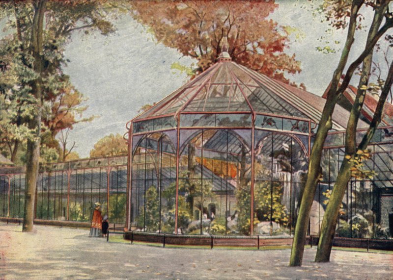 Voljär, Berlins zoologiska trädgård, Tyskland (färg litho) av German School