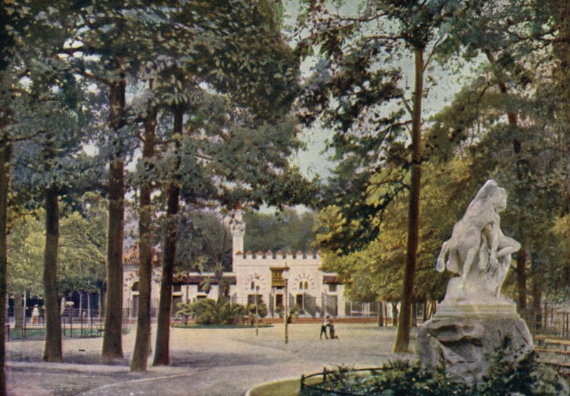 Kamelhus, Berlins zoologiska trädgård, Tyskland (färg litho) av German School