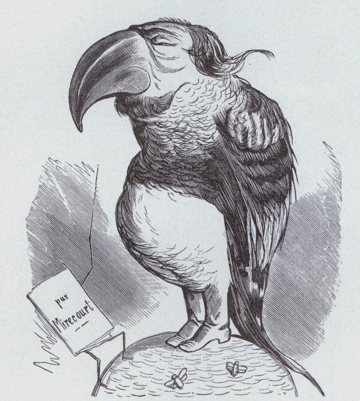 Karikatyr av Napoleon III av Frankrike som en papegoja (litho) av German School