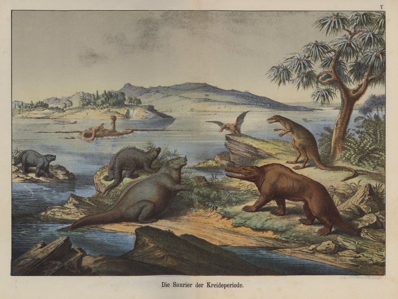 Dinosaurier från kritaperioden (färg litho) av German School