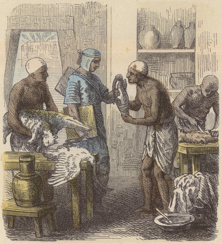 Balsamering av djur i det antika Egypten (färgad gravyr) av German School