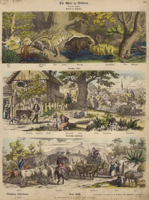 Europa: skog i Litauen; tysk by; Italiensk landsväg (färgad gravyr) av German School