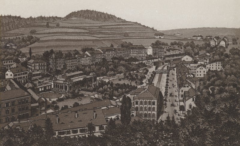 rad av trädgårdar (litho) av German School