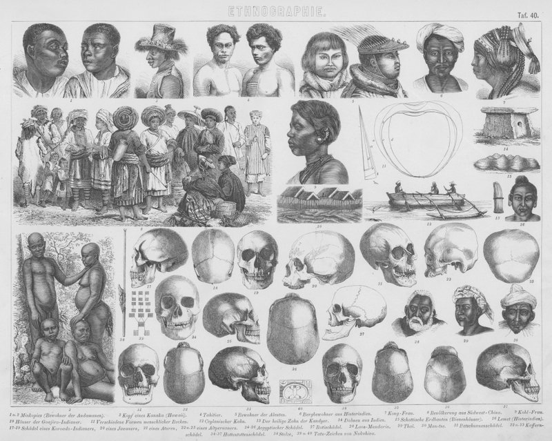 Illustration för Bilder-Atlas: Raser och dödskallar (gravyr) av German School