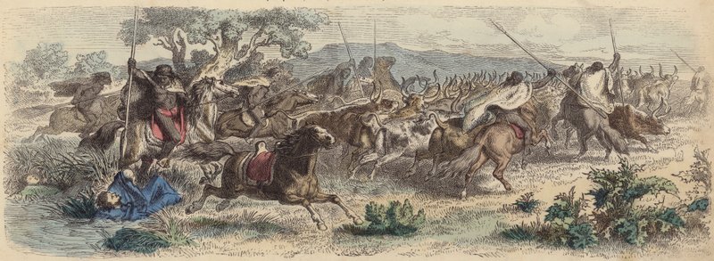 Indianer som överraskar Gauchos på Pampas och ger sig av med sin boskapshjord (färgad gravyr) av German School