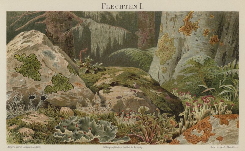 Lavar (färg litho) av German School