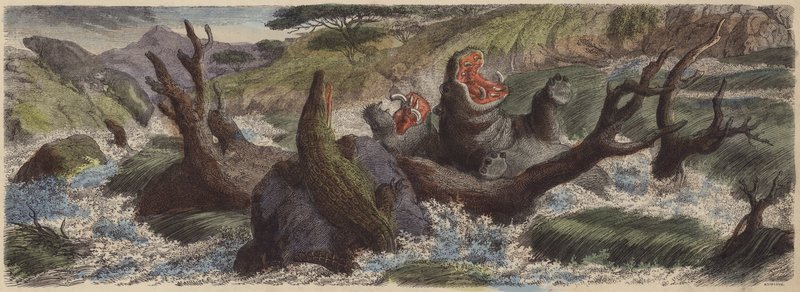 Bergsbäck i nordöstra Afrika i översvämning under regnperioden (färgad gravyr) av German School