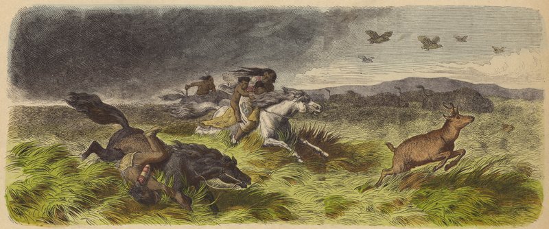 Indianer och djur som flyr från en präriebrand (färgad gravyr) av German School