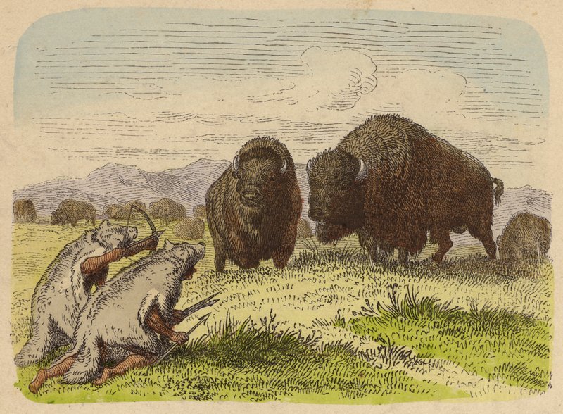 Indianer som bär vargskinn och jagar buffel (färgad gravyr) av German School