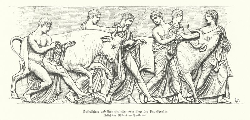 Offerdjur i den antika grekiska processionen av Panathenaia (gravyr) av German School