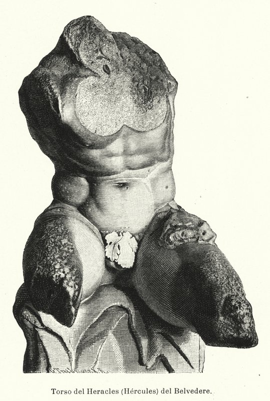 Belvedere Torso, romersk skulptur som traditionellt tros vara en representation av Hercules (litho) av German School