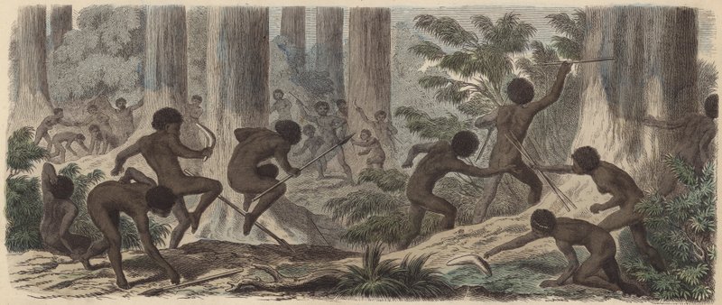 Två stammar av australiensiska aboriginer slåss (färgad gravyr) av German School
