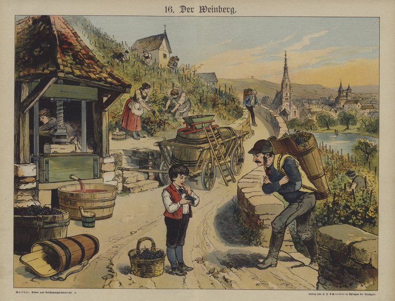 Vin (färg litho) av German School
