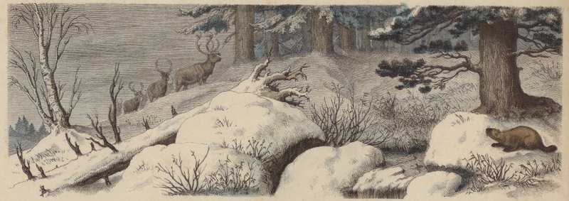Vinterlandskap i Kanada (färgad gravyr) av German School